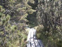 Ein Weg im Moor - Deshalb auch mit Holzbolen unterst?zt.